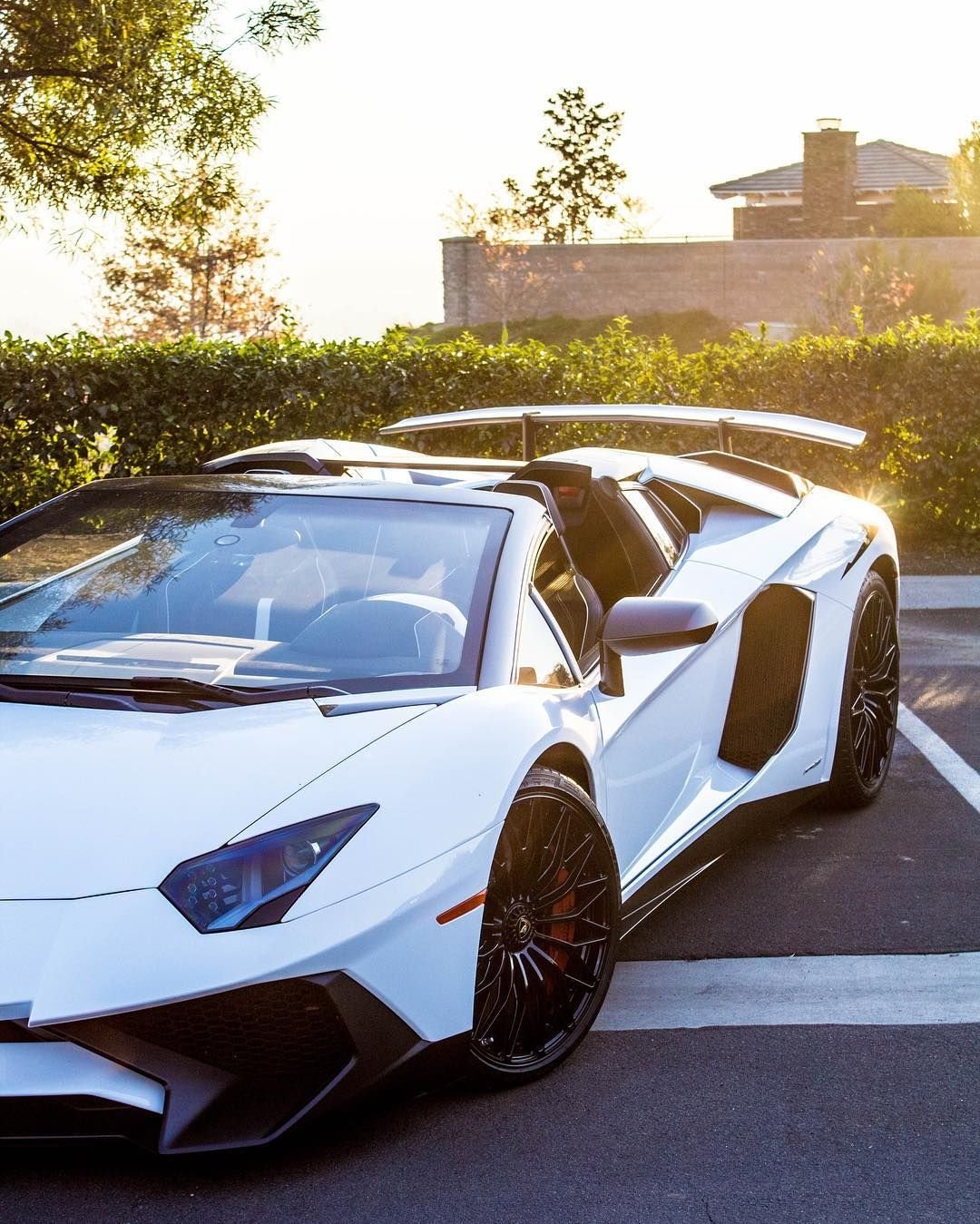Lamborghini Aventador Roadster