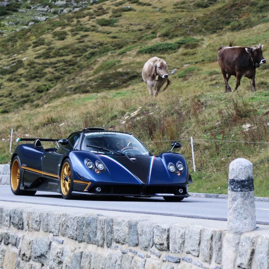Supercar owners circle