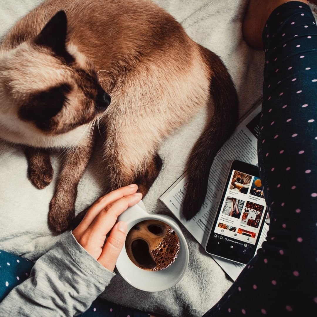 Instagram животные
