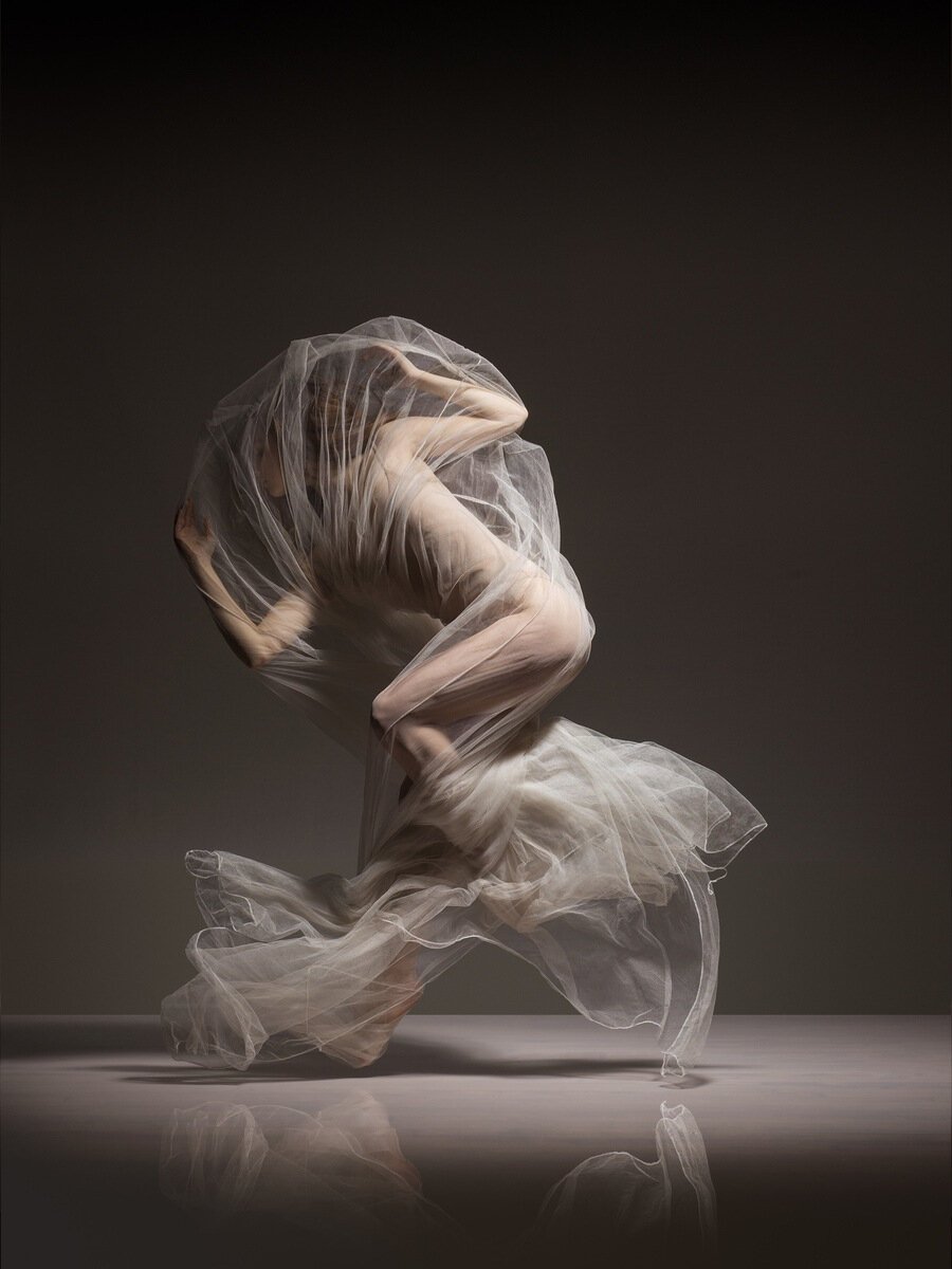 Lois Greenfield художник
