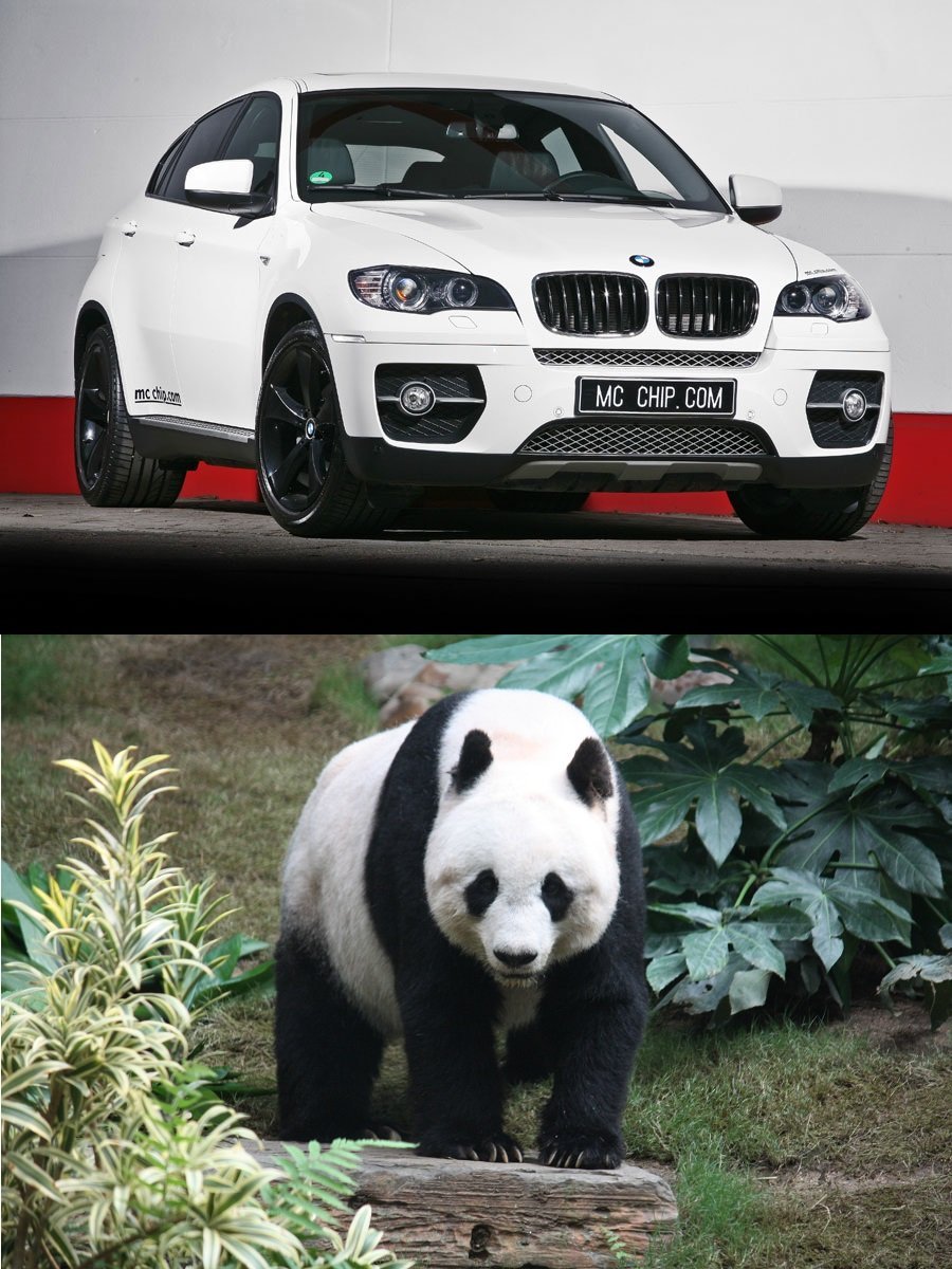 BMW x6 Panda