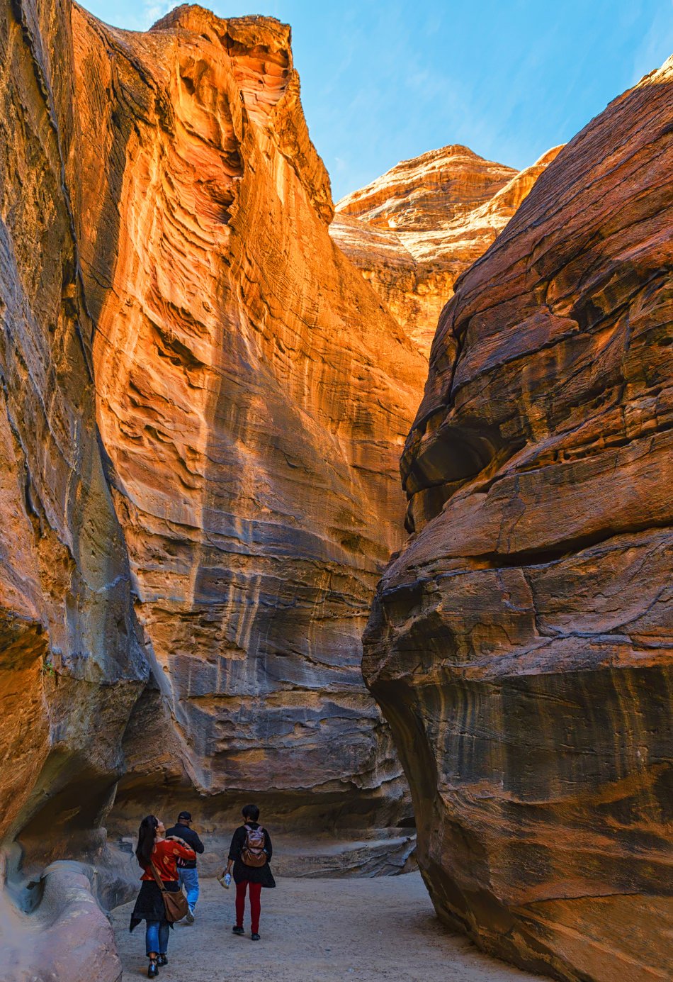 Canyon 6000