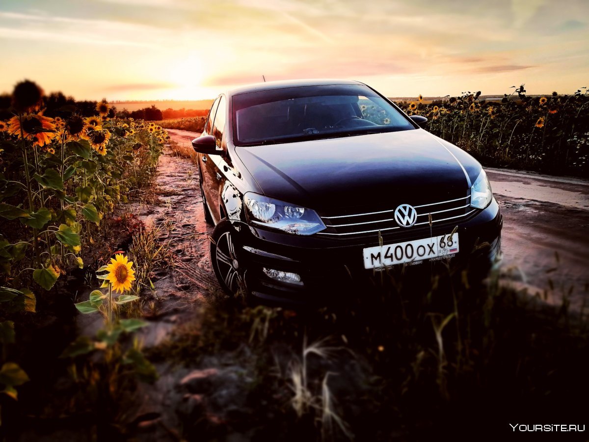 Volkswagen Polo sedan 2015 drive2