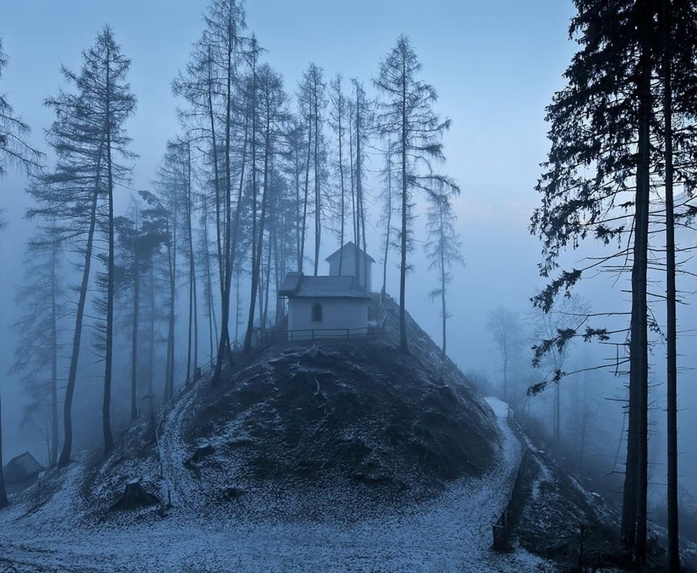 Чёрный лес Шварцвальд храм