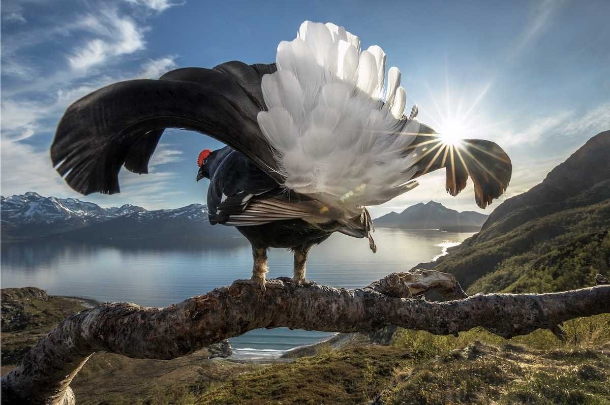 Удивительная природа