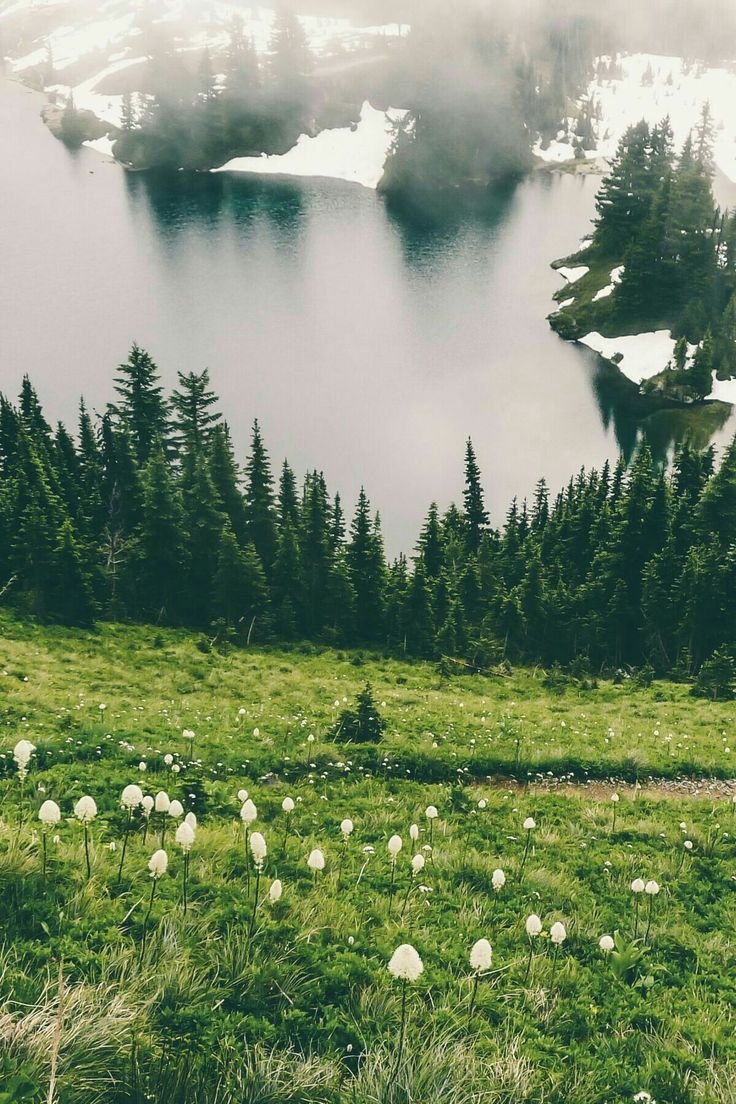 Пейзаж Эстетика
