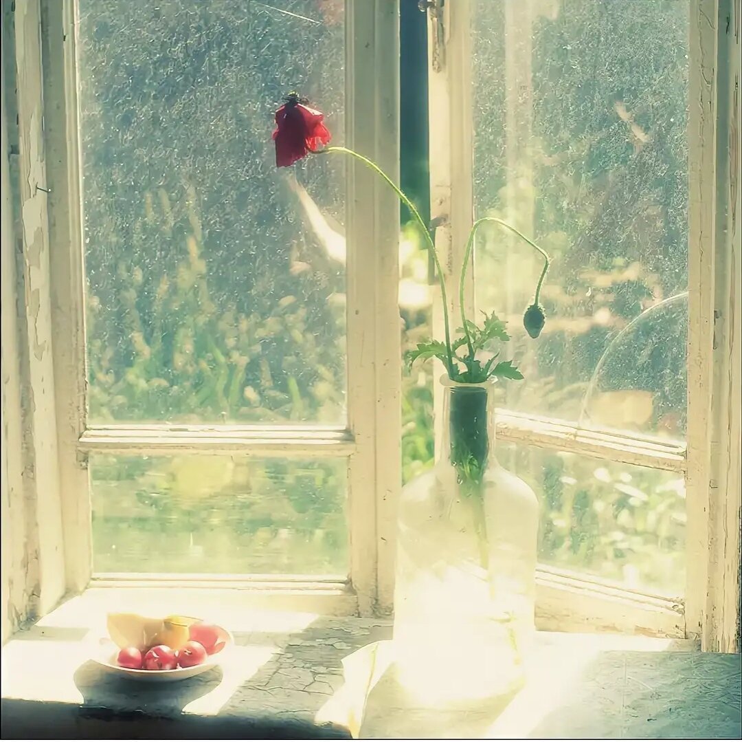 Окно в лето