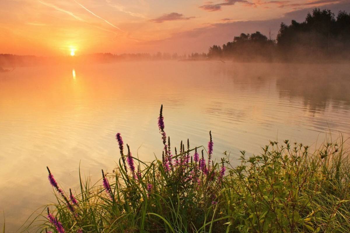 Утренний рассвет
