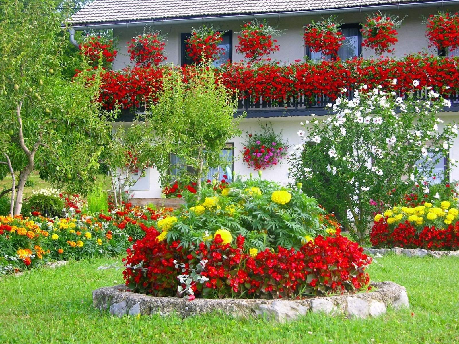 Цветы возле дома своими руками