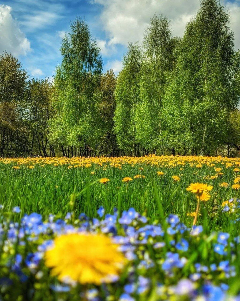 Пляж солнечная поляна