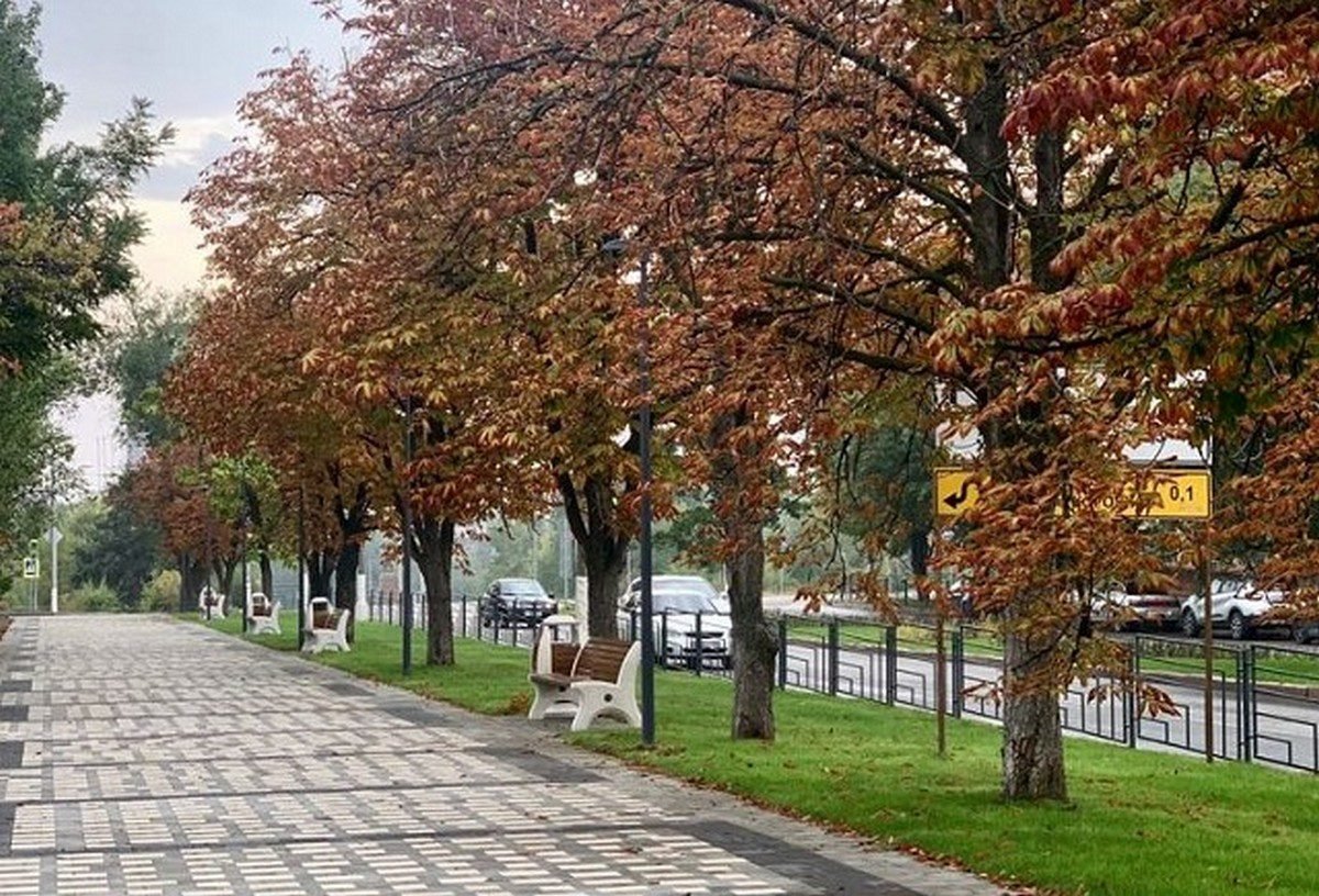 Каштановая аллея Алагир