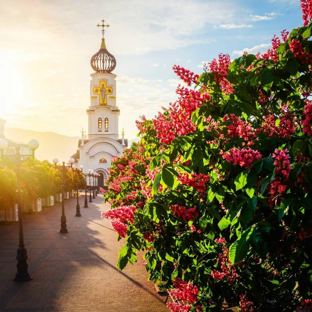 Аллея Черняховского Новороссийск