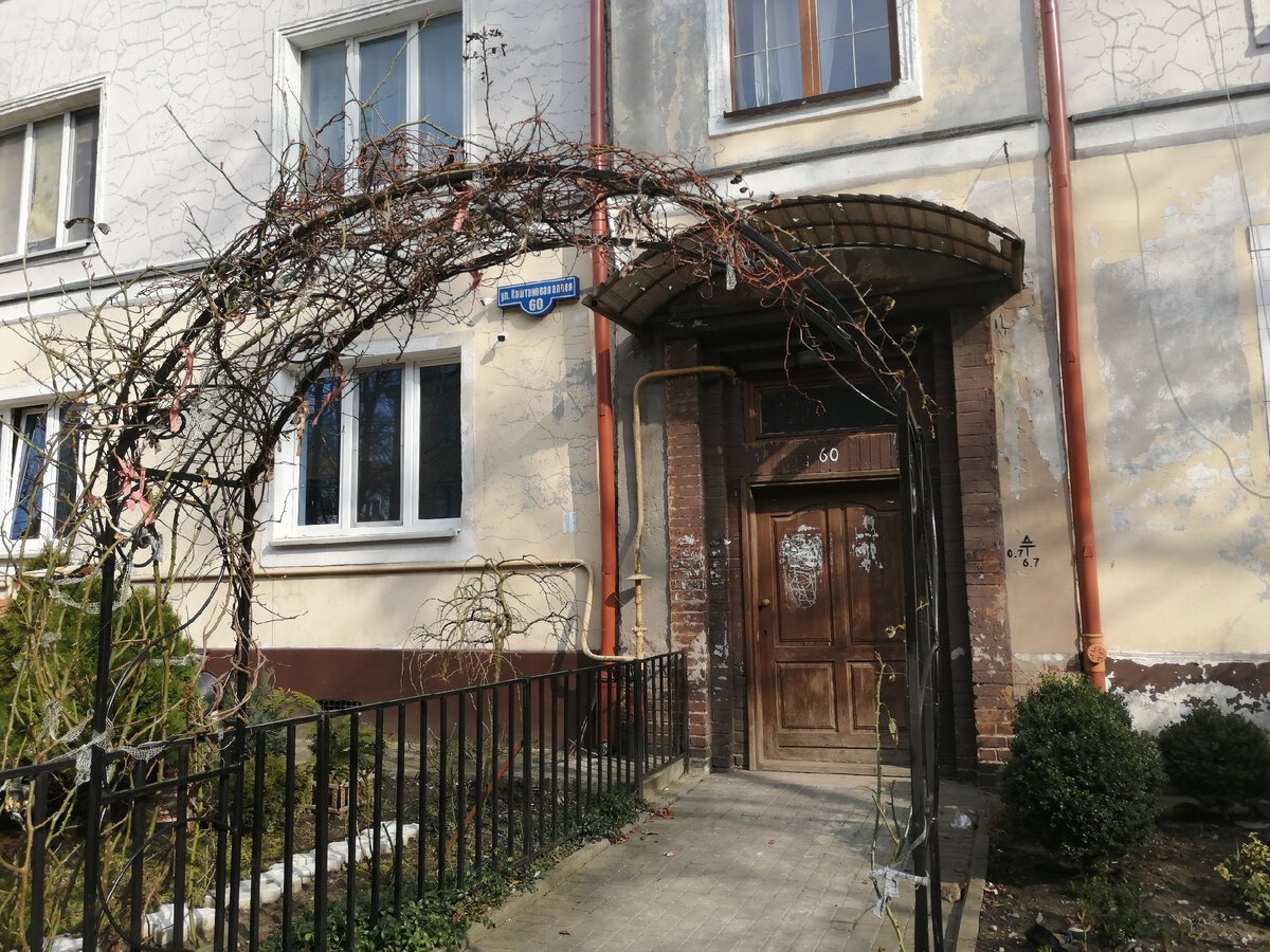 Каштановая аллея