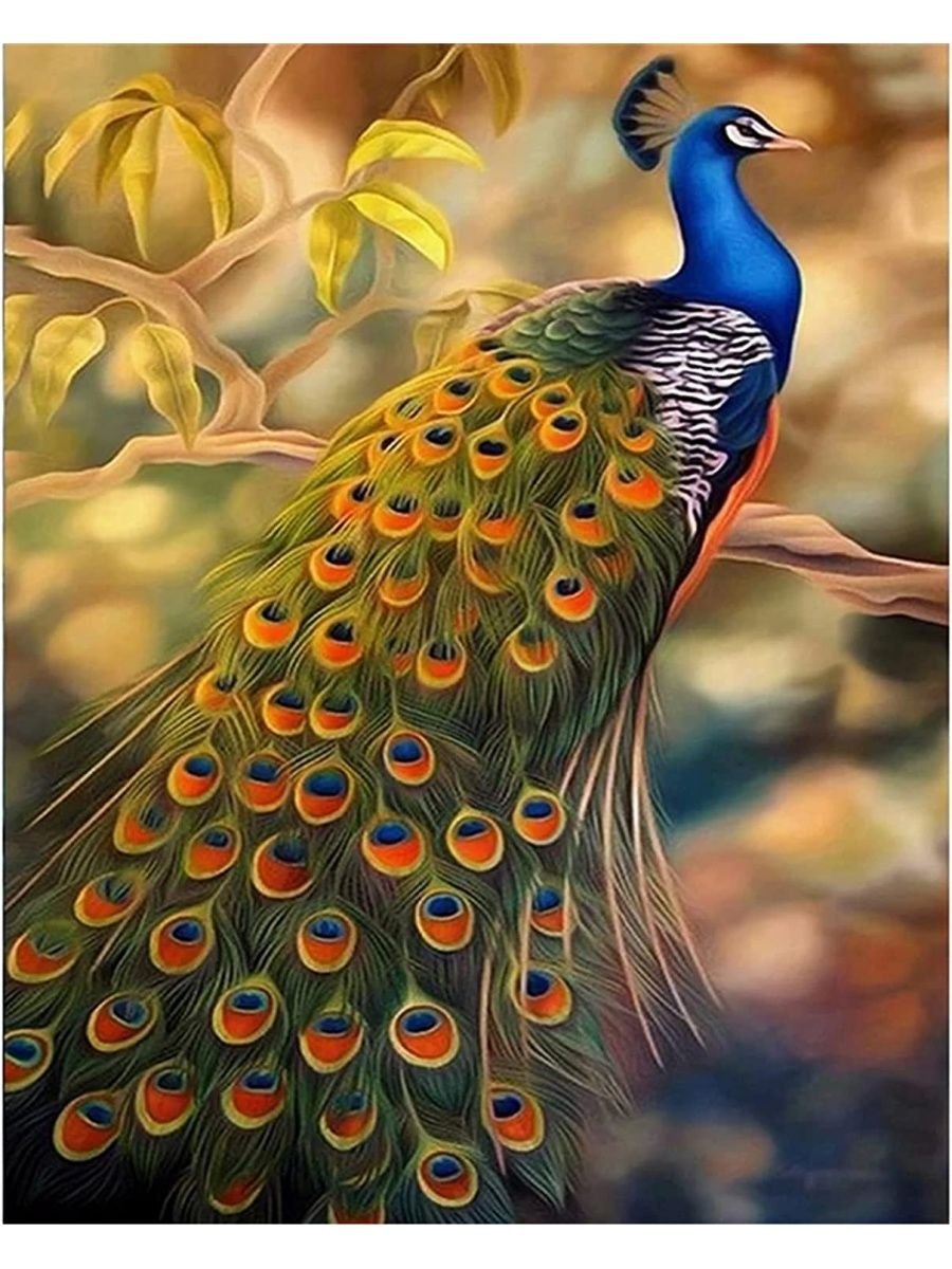 Королевский Павлин