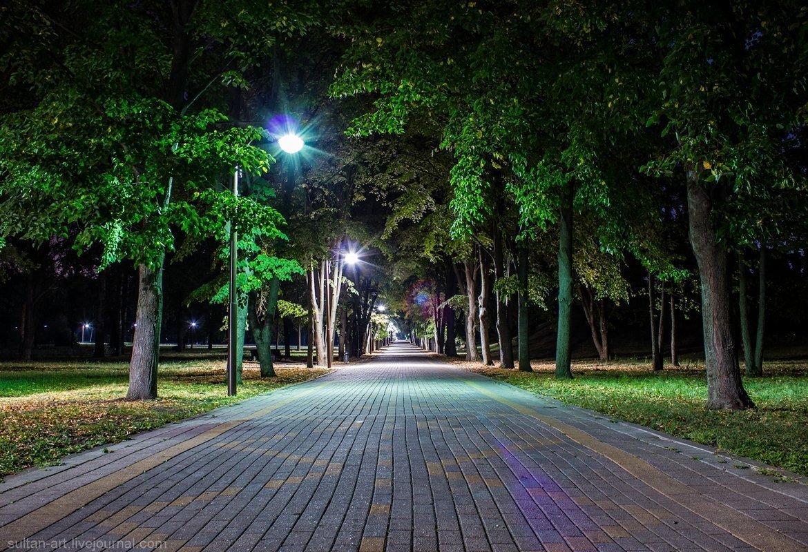 Краснодар аллея