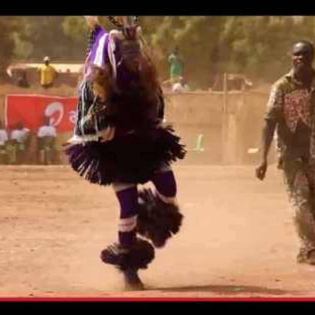 Zaouli Dance Википедия