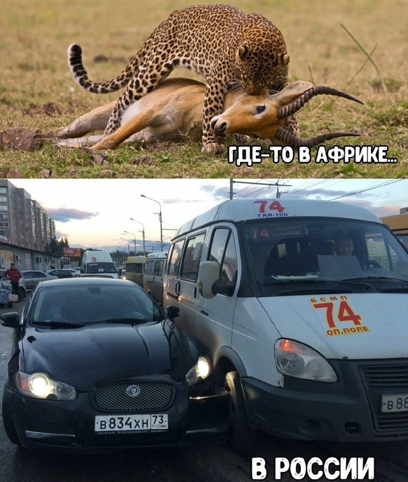 Автомобильные приколы
