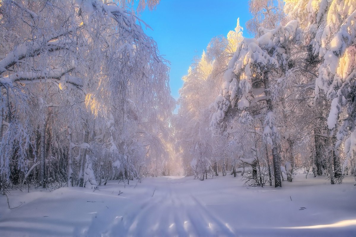 Снежная зима