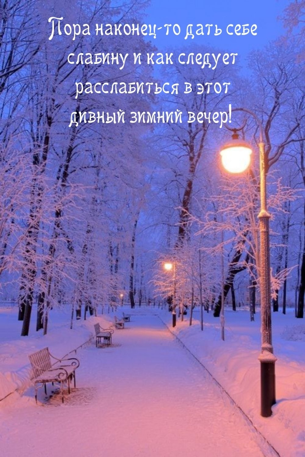Зимняя аллея
