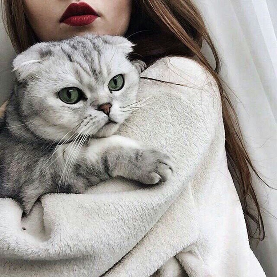 Топовые девушки с котом