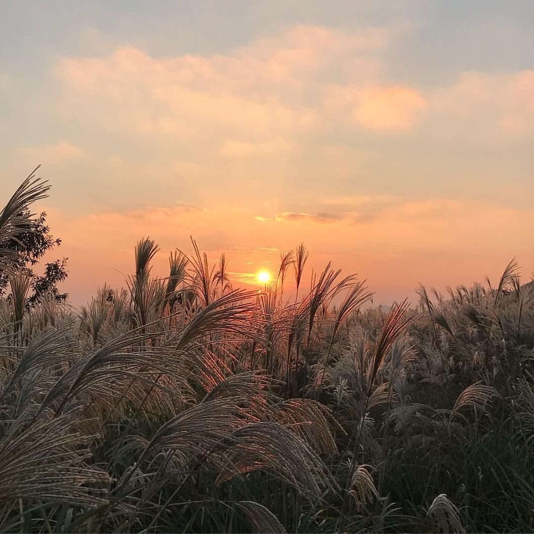 Рассвет Эстетика
