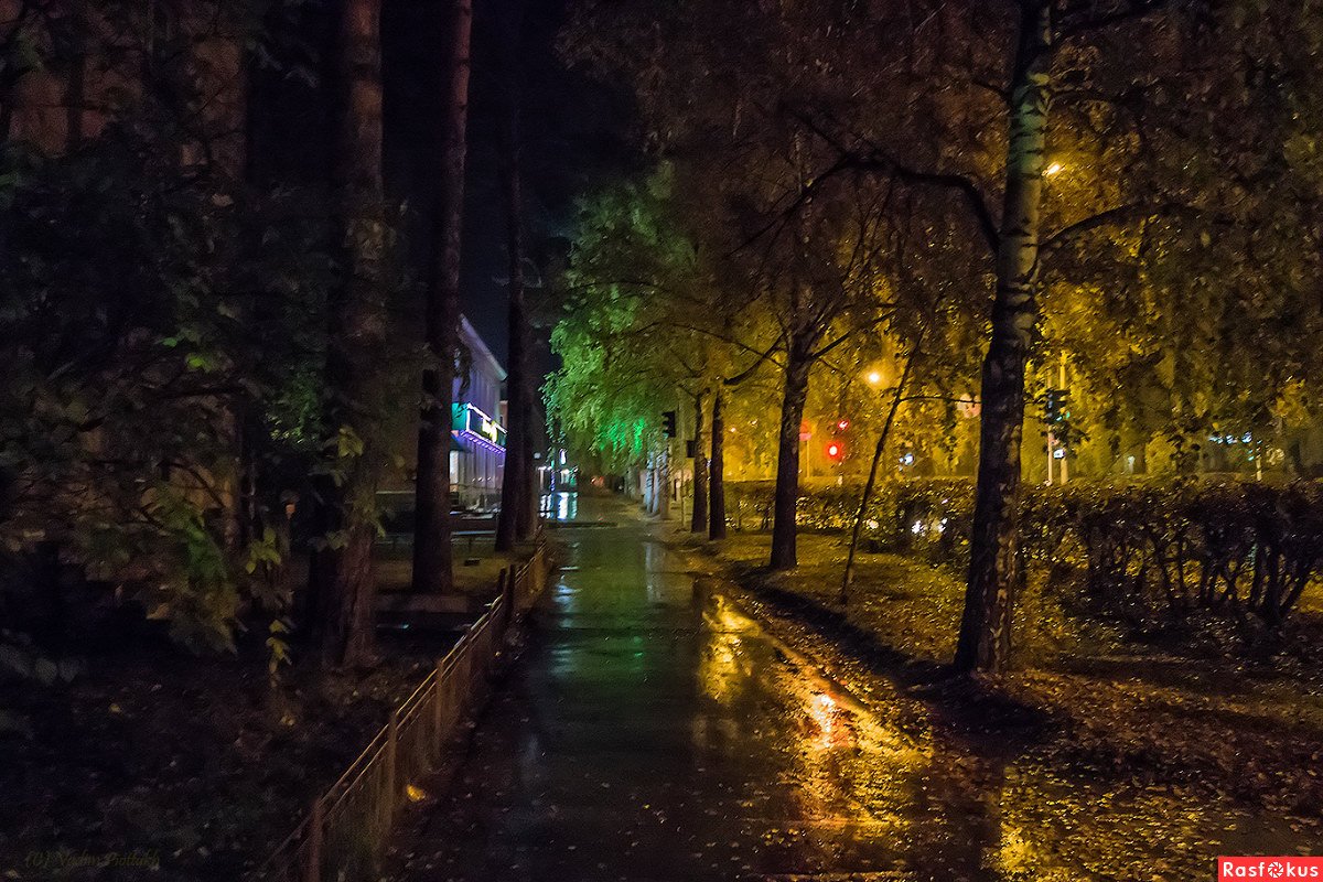 Дождливый вечер в городе