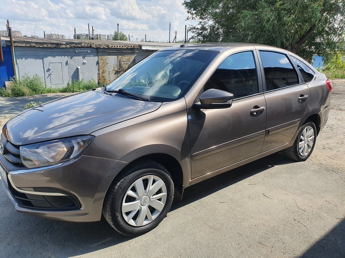 Кориандр цвет авто