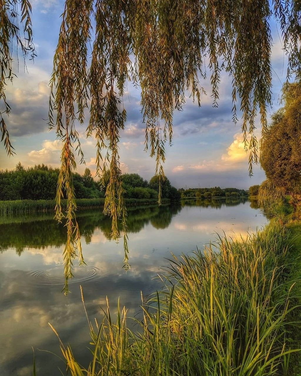Доброго дня и душевного спокойствия