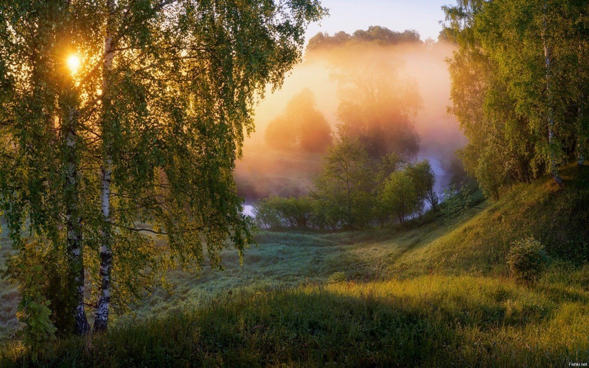Летний рассвет