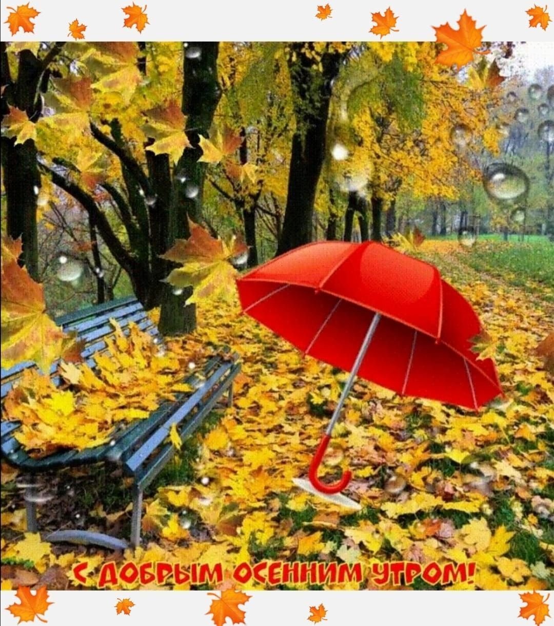 С добрым осенним дождливым утром