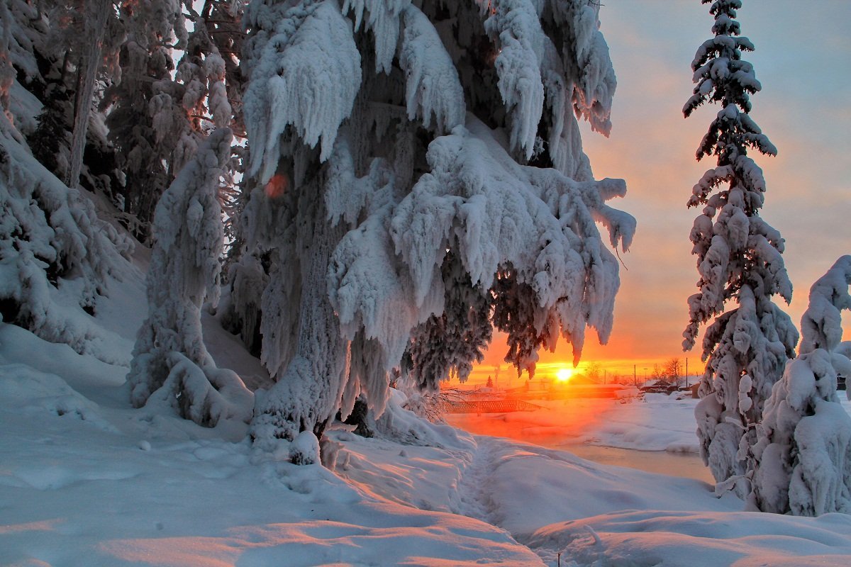 Природа зимой
