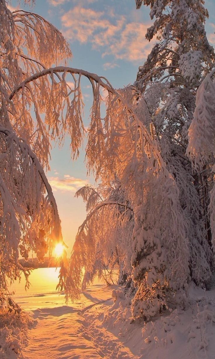 Красота зимы