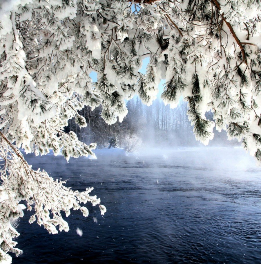 Зимняя красота
