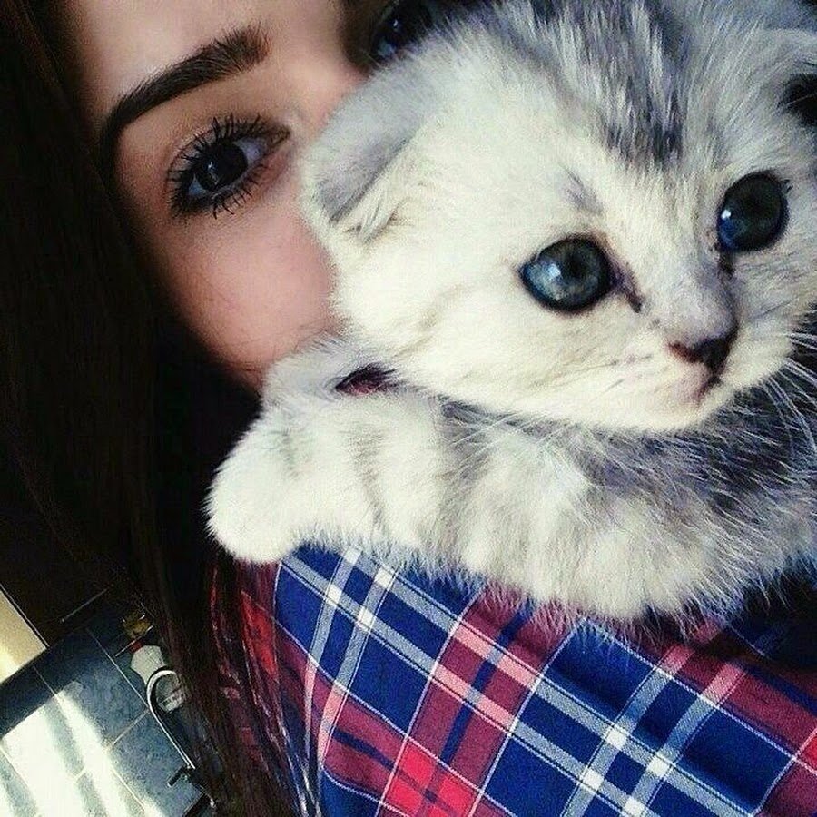 Девушка с котиком на аву
