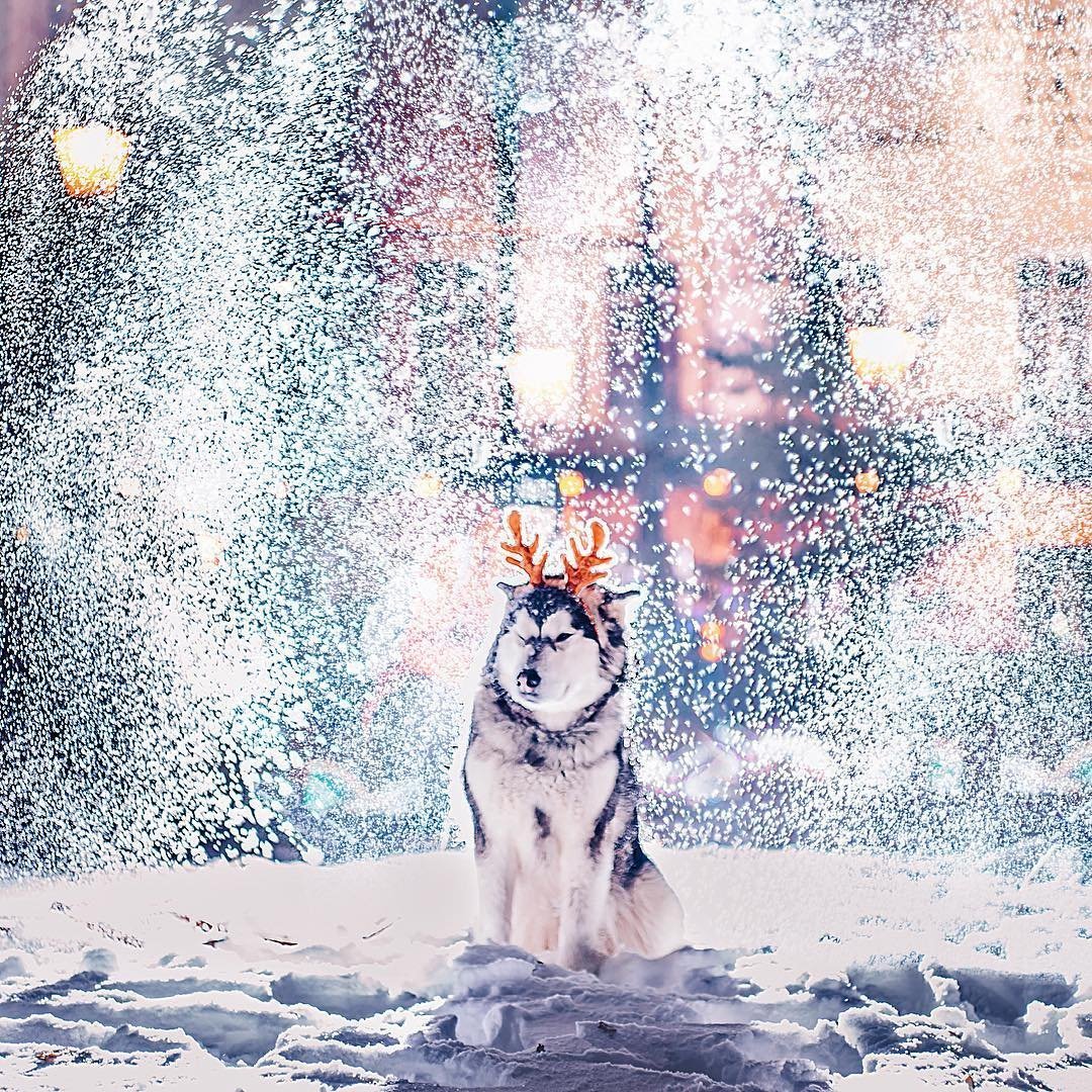 Снежное настроение