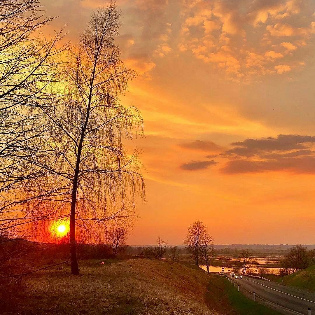 Алеющий закат
