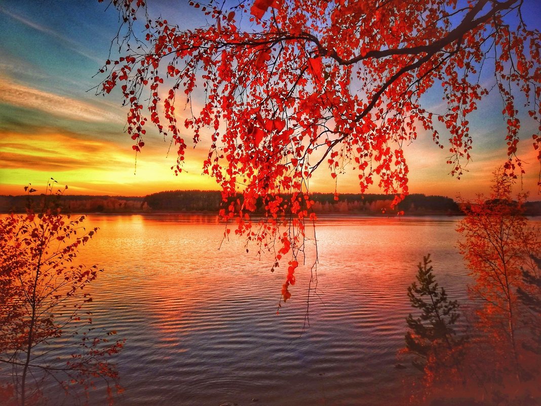 Красивый осенний закат