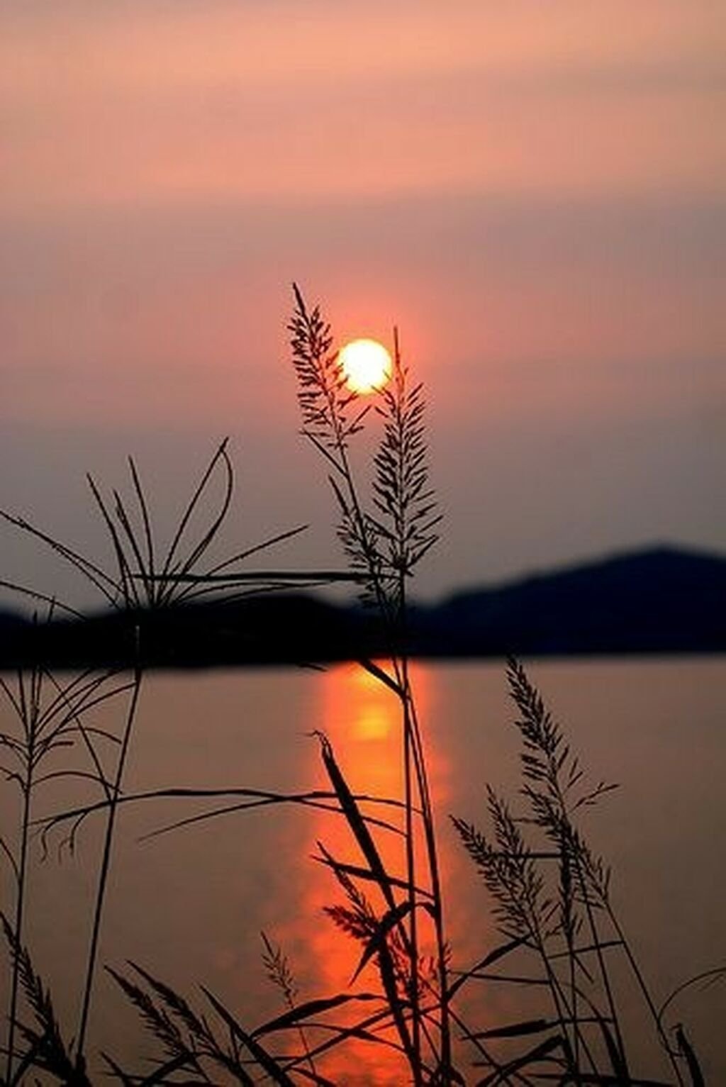 Эстетика природа закат