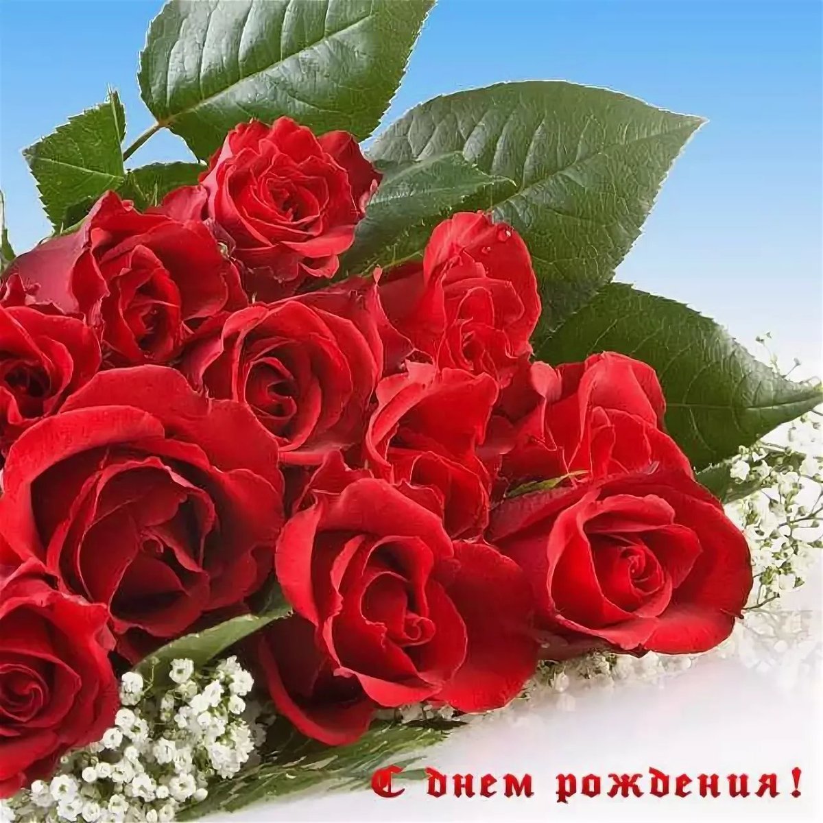 С днём рождения розы
