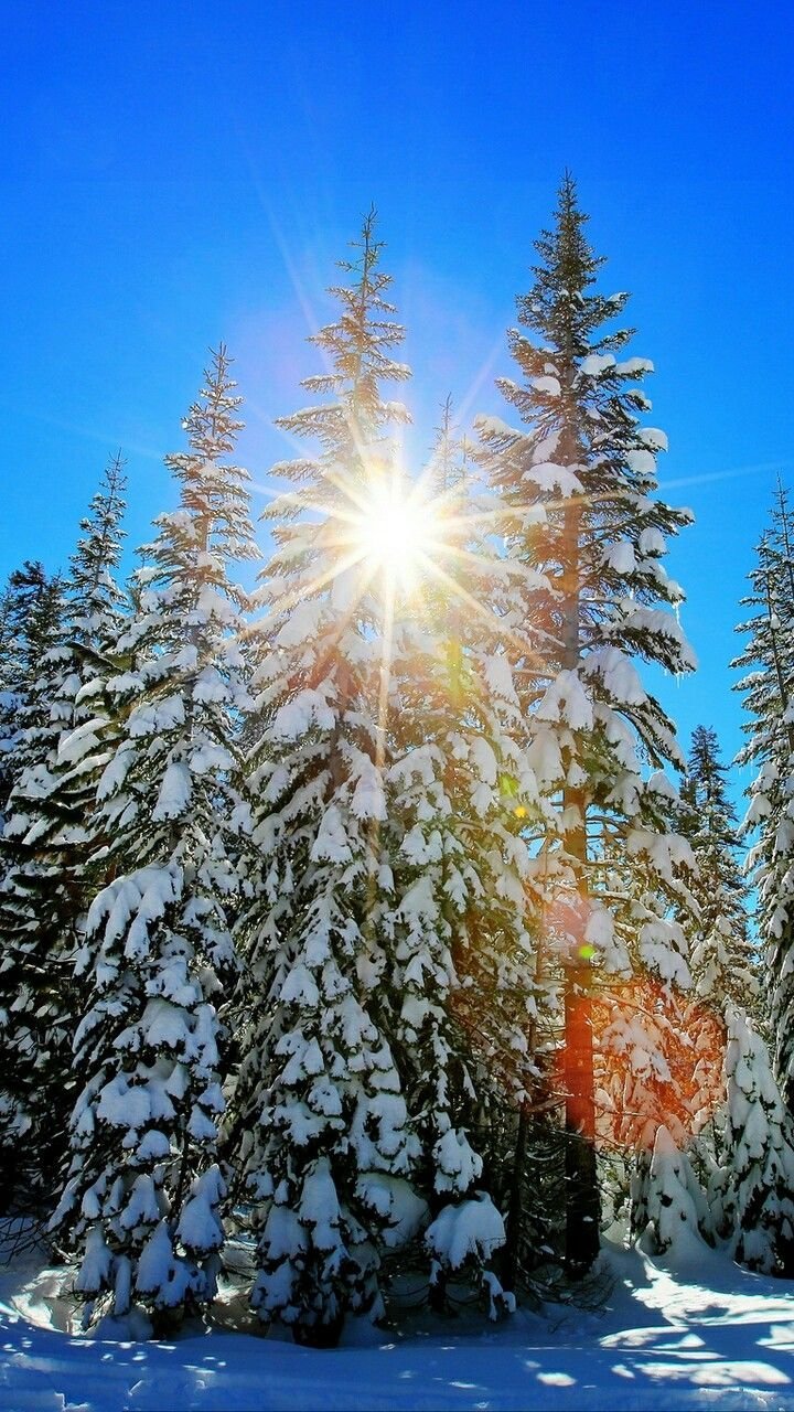 Зима солнце