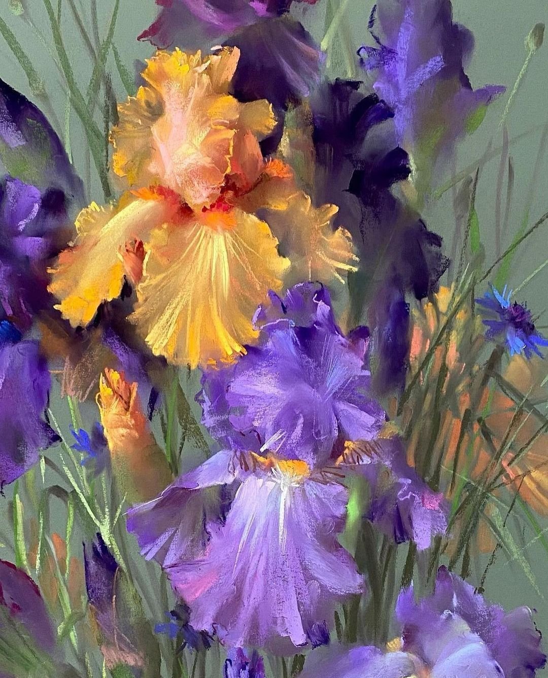 Марина Кавура художник ирисы