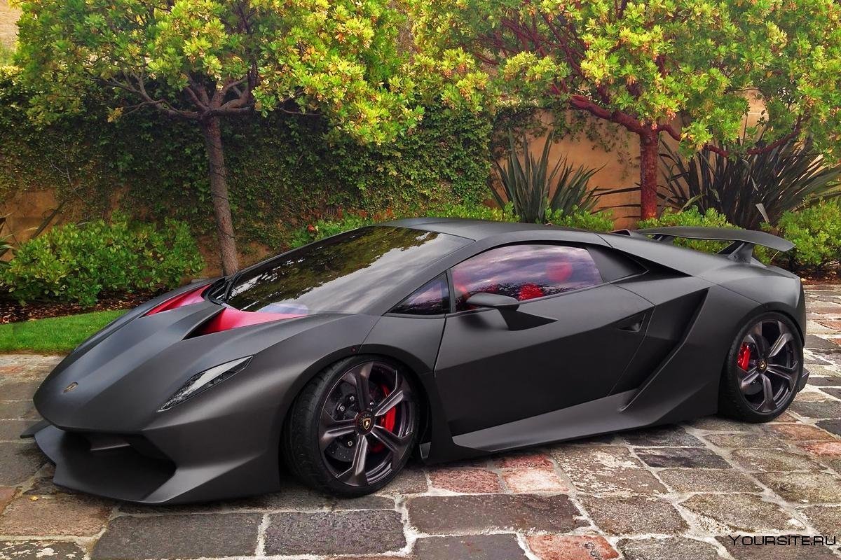 Super car Hunter