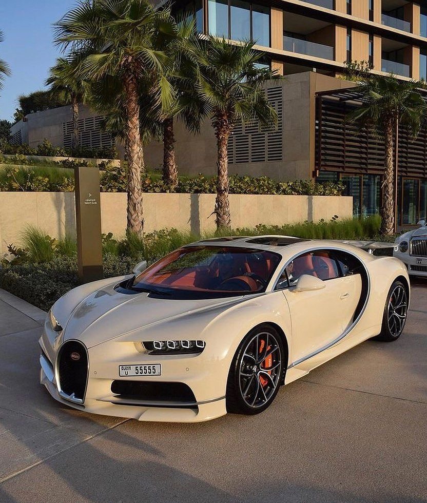 Trillionaire Life