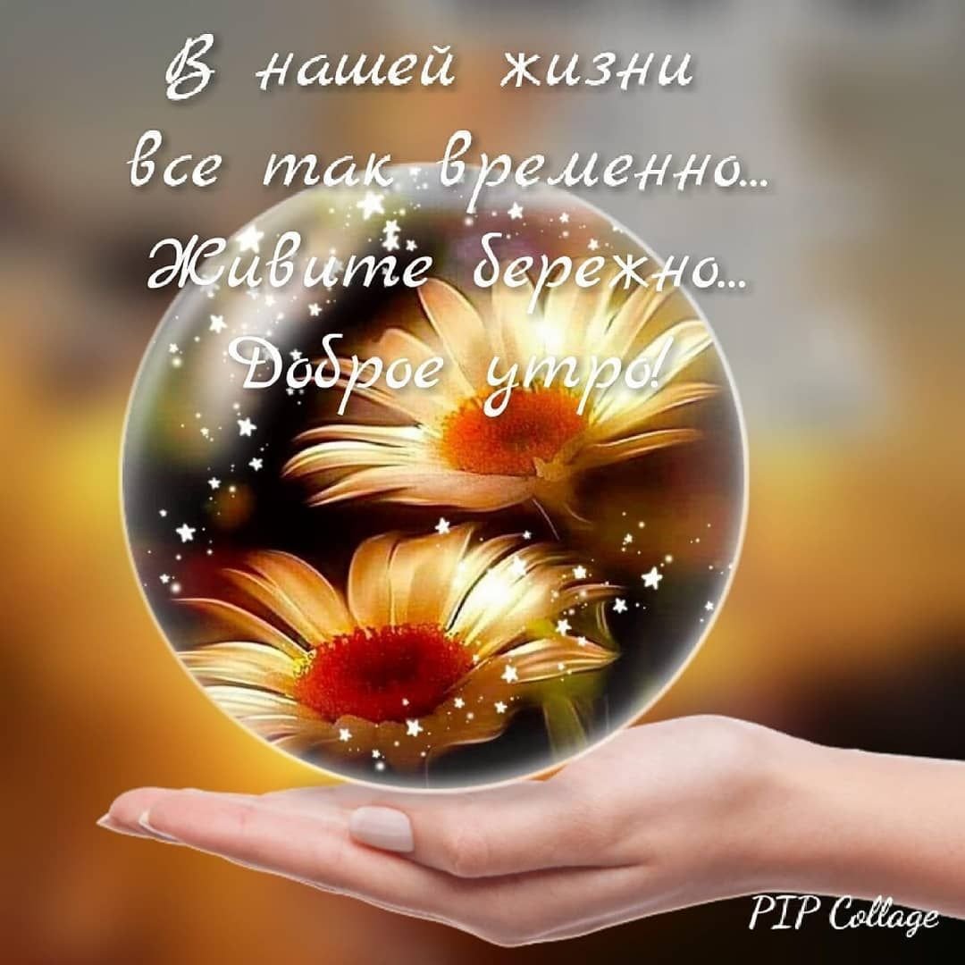 Живите счастливо доброе утро