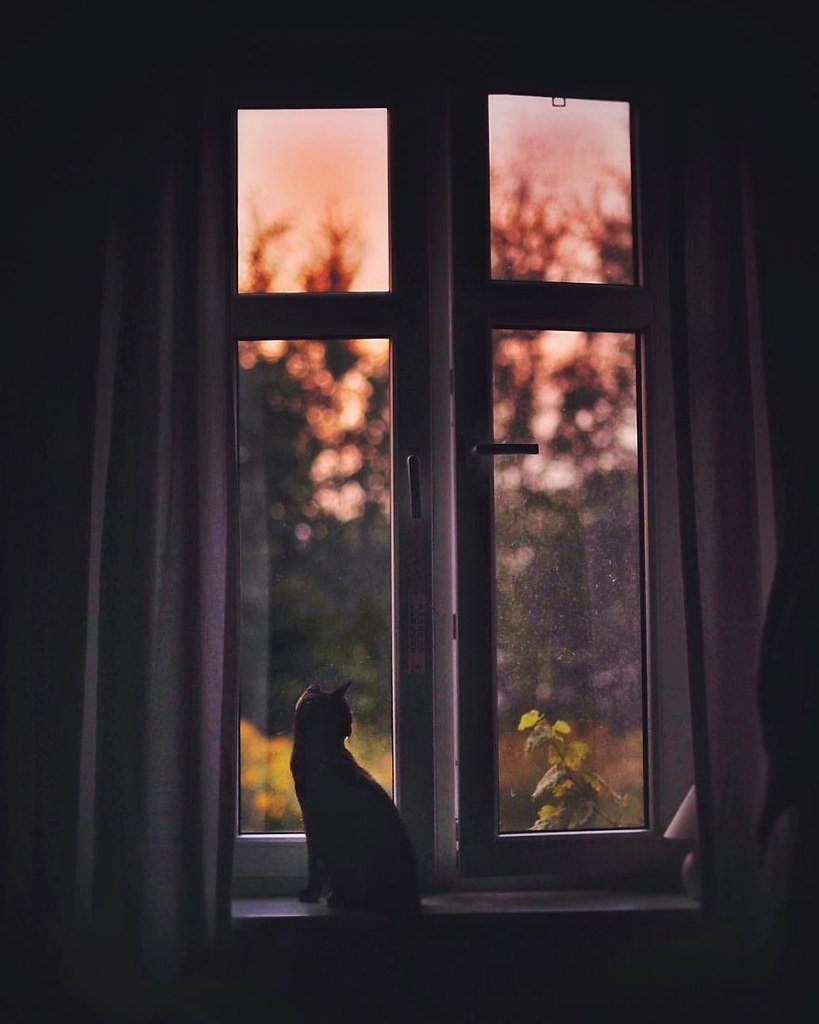 Закат в окне