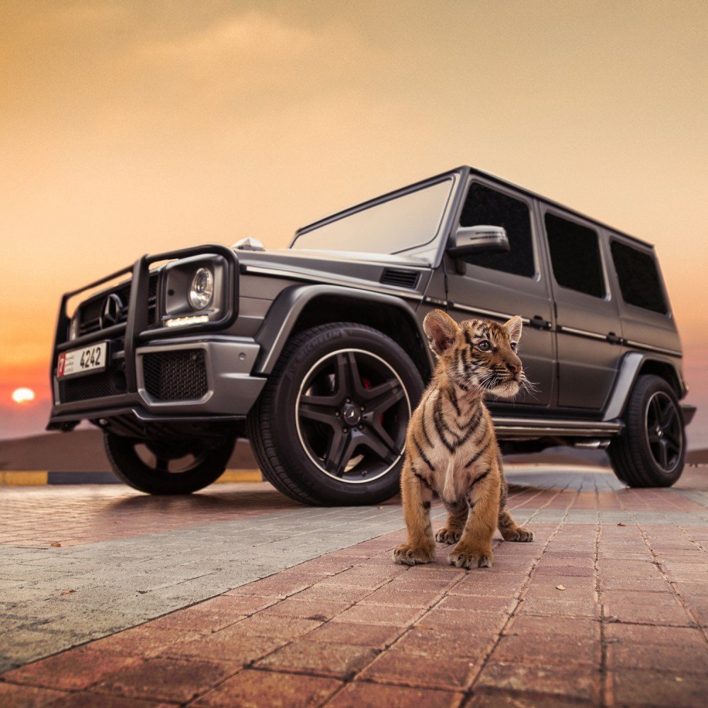 Mercedes Benz g63 AMG