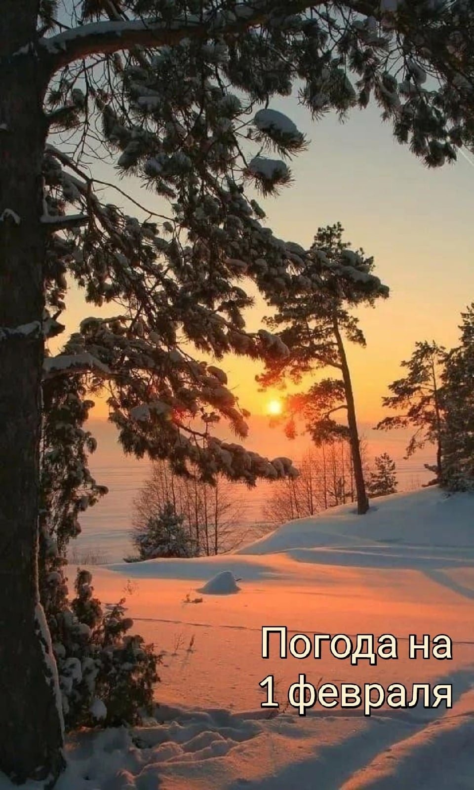 Закат в зимнем лесу