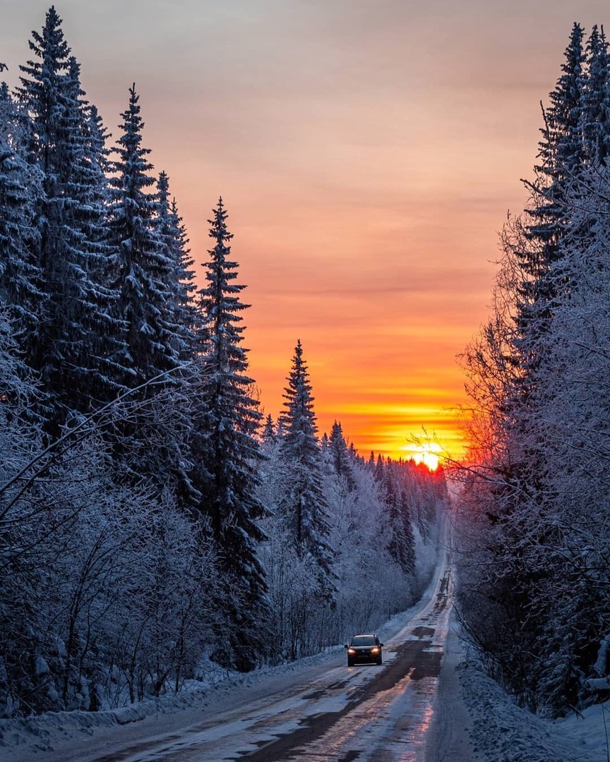 Заснеженная дорога в лесу