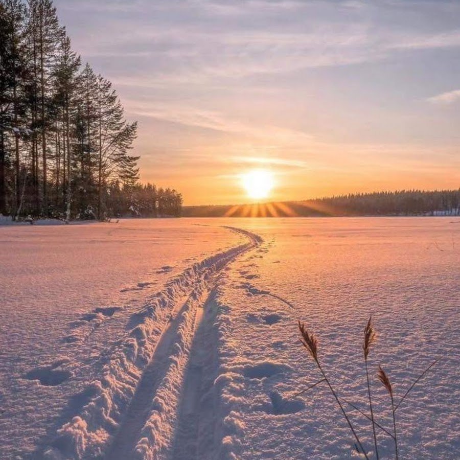 Снег и солнце