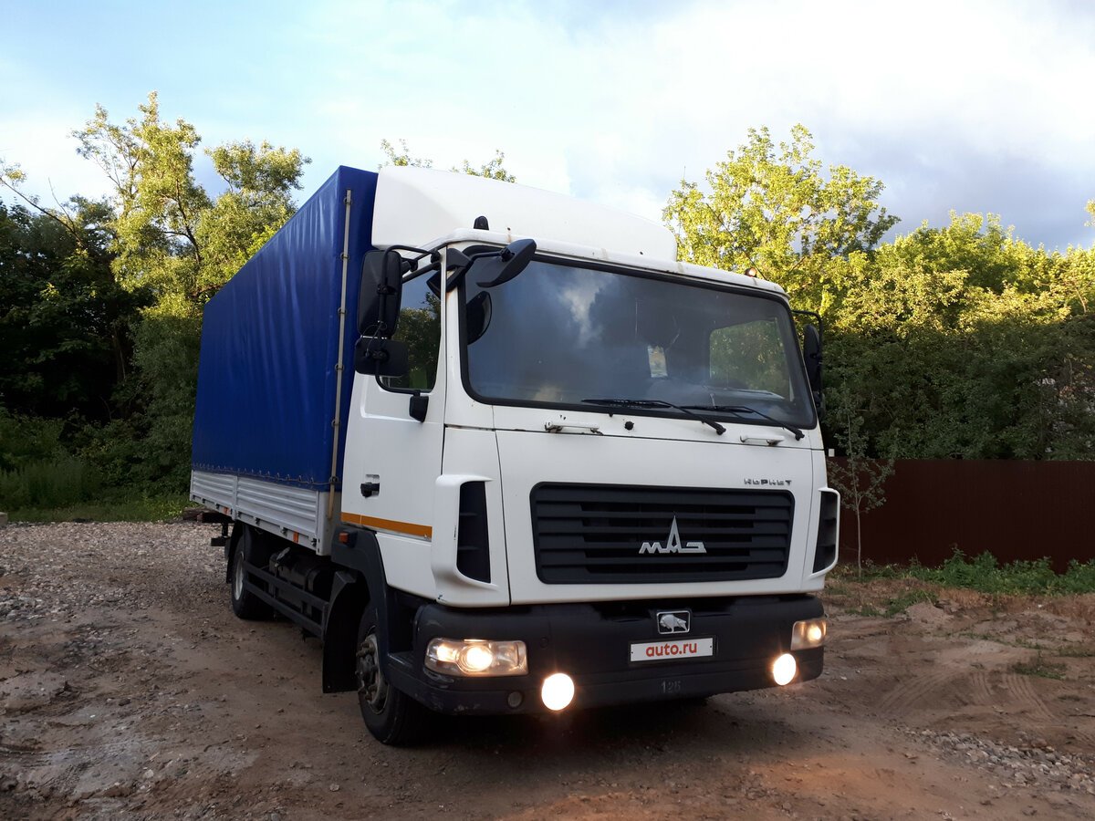 Зубренок МАЗ 4371w1 432